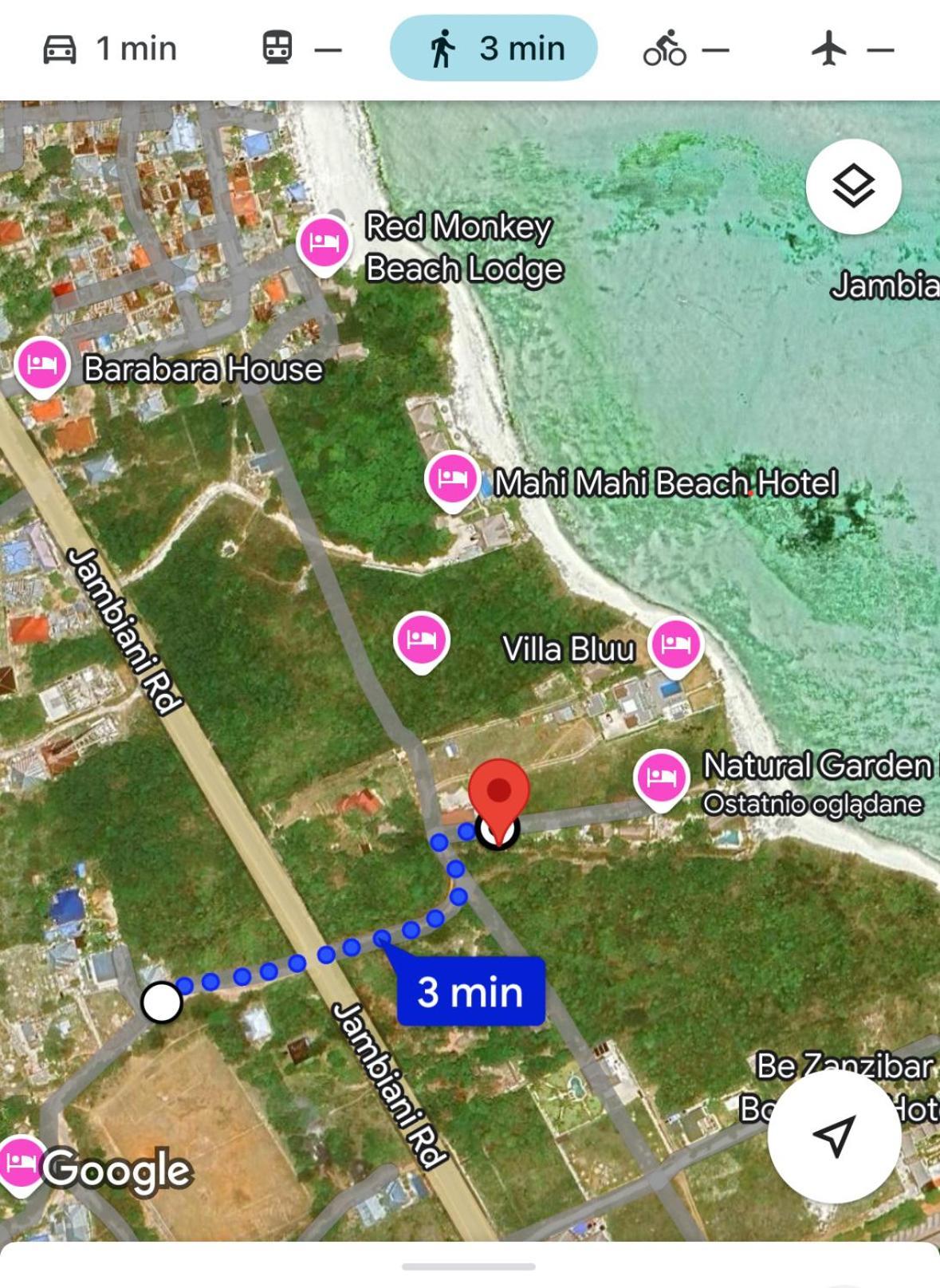 Natural Garden Boutique Hotel Jambiani  Dış mekan fotoğraf
